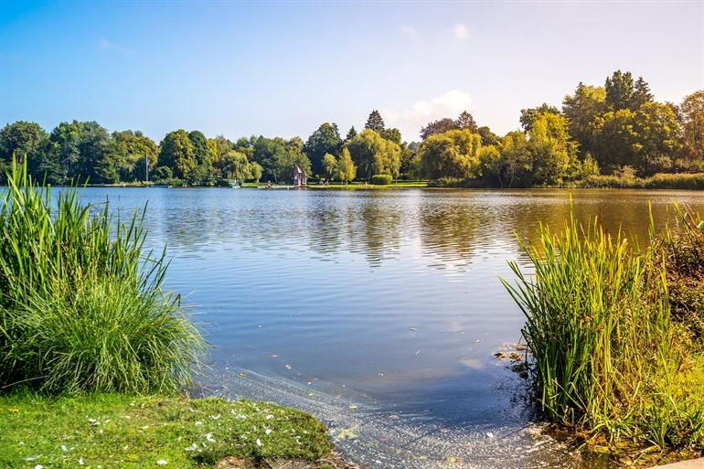 Waldsee, Deutschland