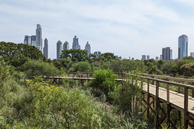 Spazieren Sie durch die Bäume im Reserva Ecológica Costanera Sur