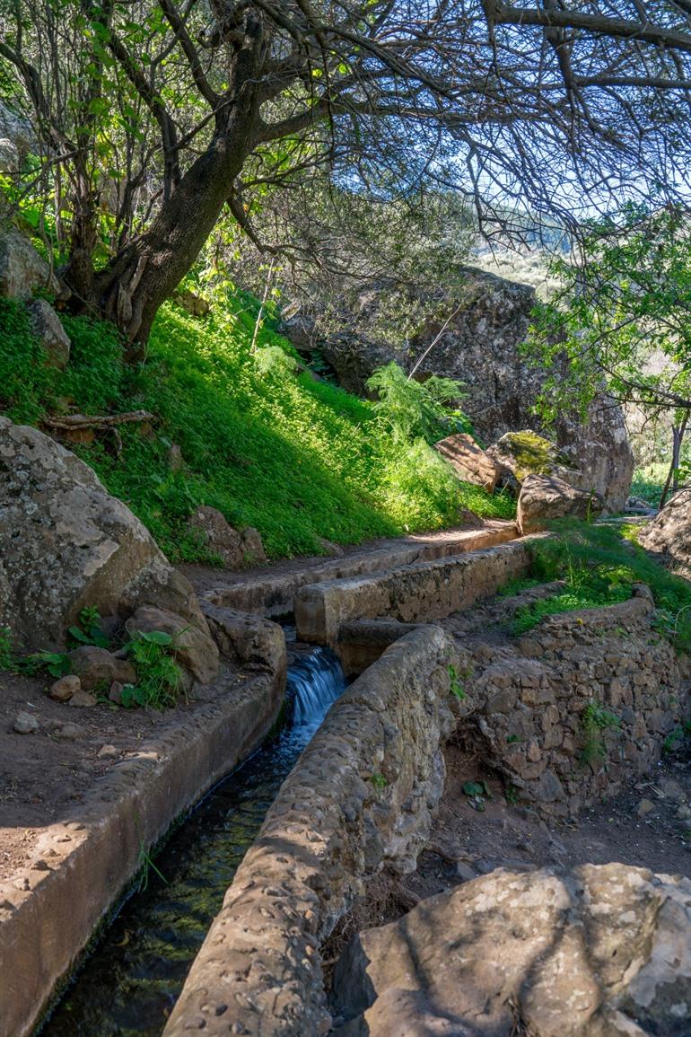 Spazieren Sie um den Barranco de los Cernícalos auf Gran Canaria.