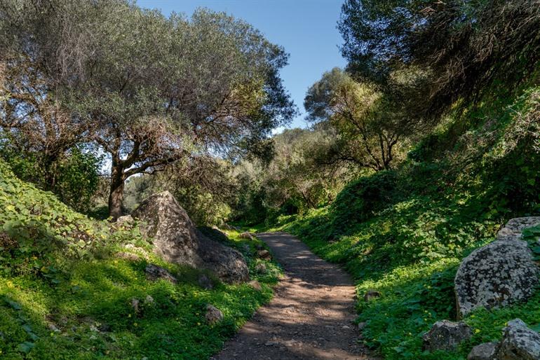 Spazieren Sie um den Barranco de los Cernícalos auf Gran Canaria.