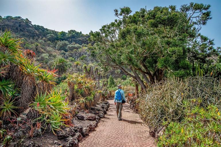 Spazieren Sie zwischen den Kakteen im Jardín Canario auf Gran Canaria.