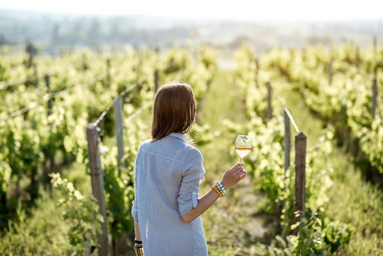 Wandern und Degustieren entlang der Weinberge von Saint-Emilion