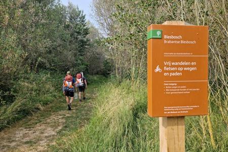 Die Biesbosch besuchen? Die besten Aktivitäten und schönsten Sehenswürdigkeiten