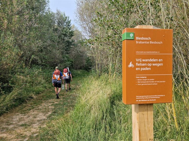 Wandern im Nationalpark Biesbosch