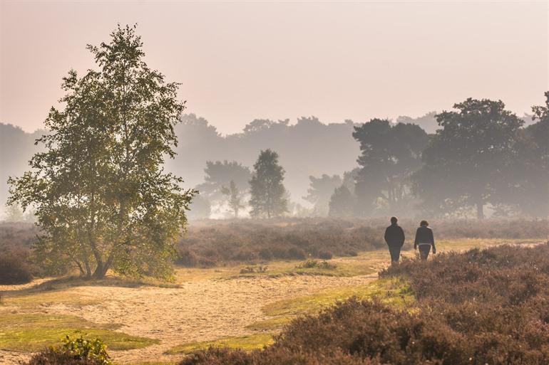 Wandern im Hoge Veluwe, Gelderland