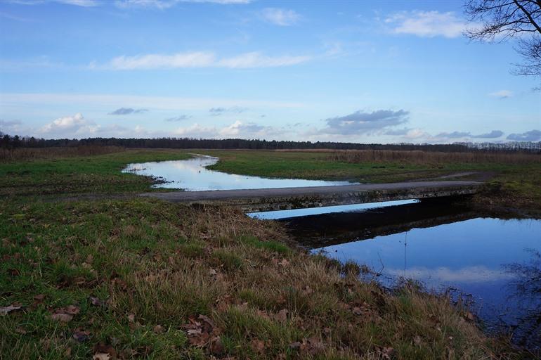 Wandern in der Landschotse Heide, Middelbeers
