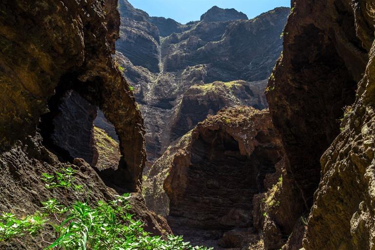 Wandern im Masca-Tal Barranco de Masca