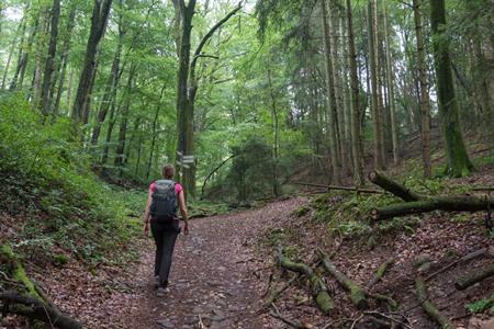 Wandern im Müllerthal in Luxemburg