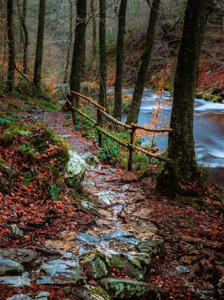 Wandern im Hoëgne-Tal, Malmedy