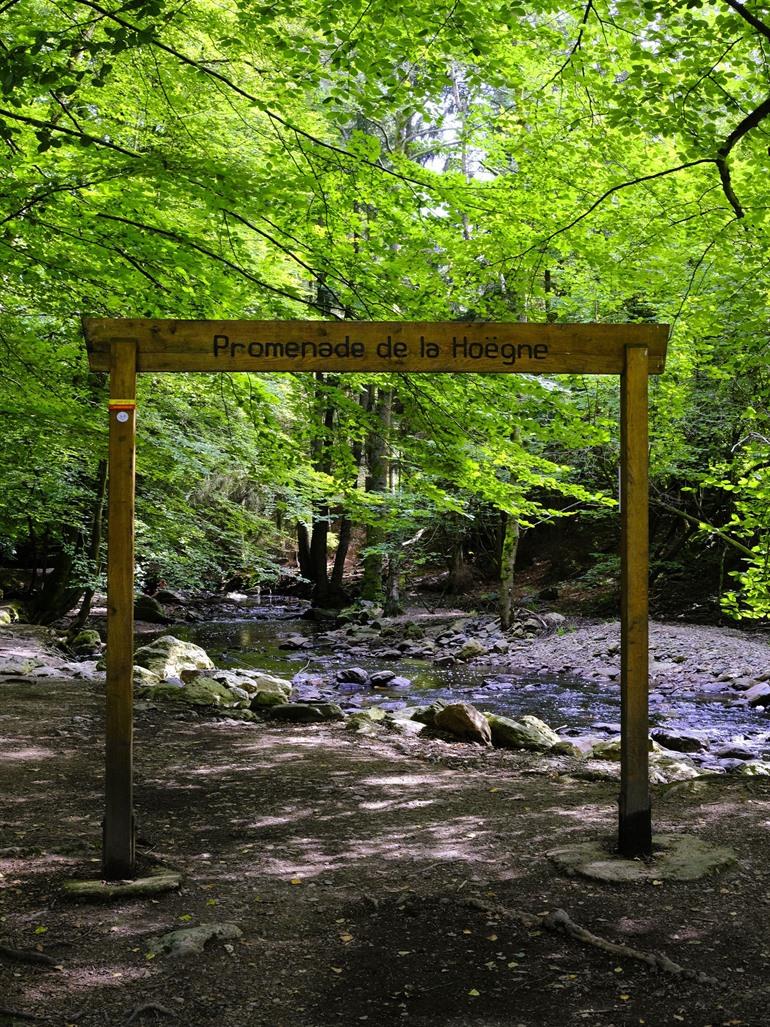 Wandern im Hoëgne-Tal, Malmedy