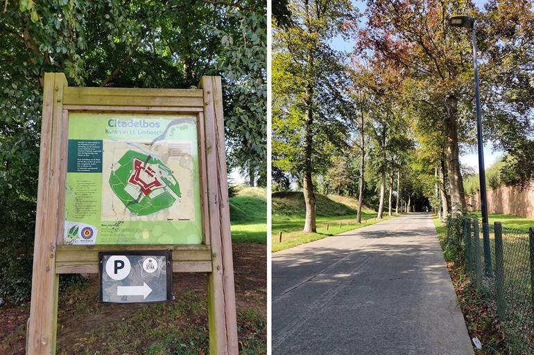 Wandern im Citadelwald in Diest