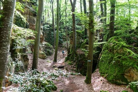 Wandern im Müllerthal (Klein-Schweizerland)