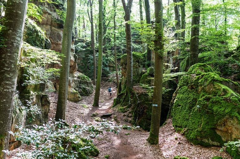 Wandern im Müllerthal (Klein-Schweizerland)