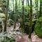 Wandern im Müllerthal (Klein-Schweizerland)