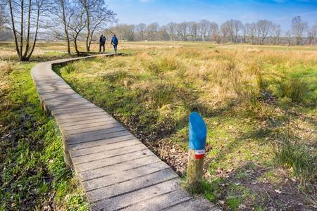 Wanderung entlang des Pieterpads? Zu Fuß durch die Niederlande mit dieser Route plus GPX-Karte