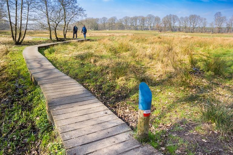 Wandern entlang des Pieterpads in den Niederlanden