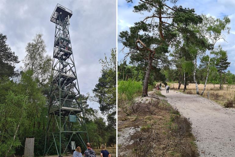 Wandern auf der Kalmthoutse Heide