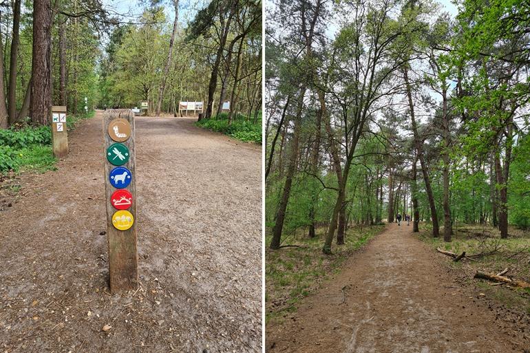 Wandern auf der Kalmthoutse Heide