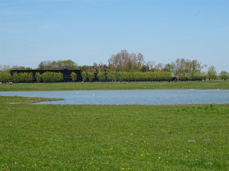 Wandern auf der Zwinfläche, Knokke-Heist