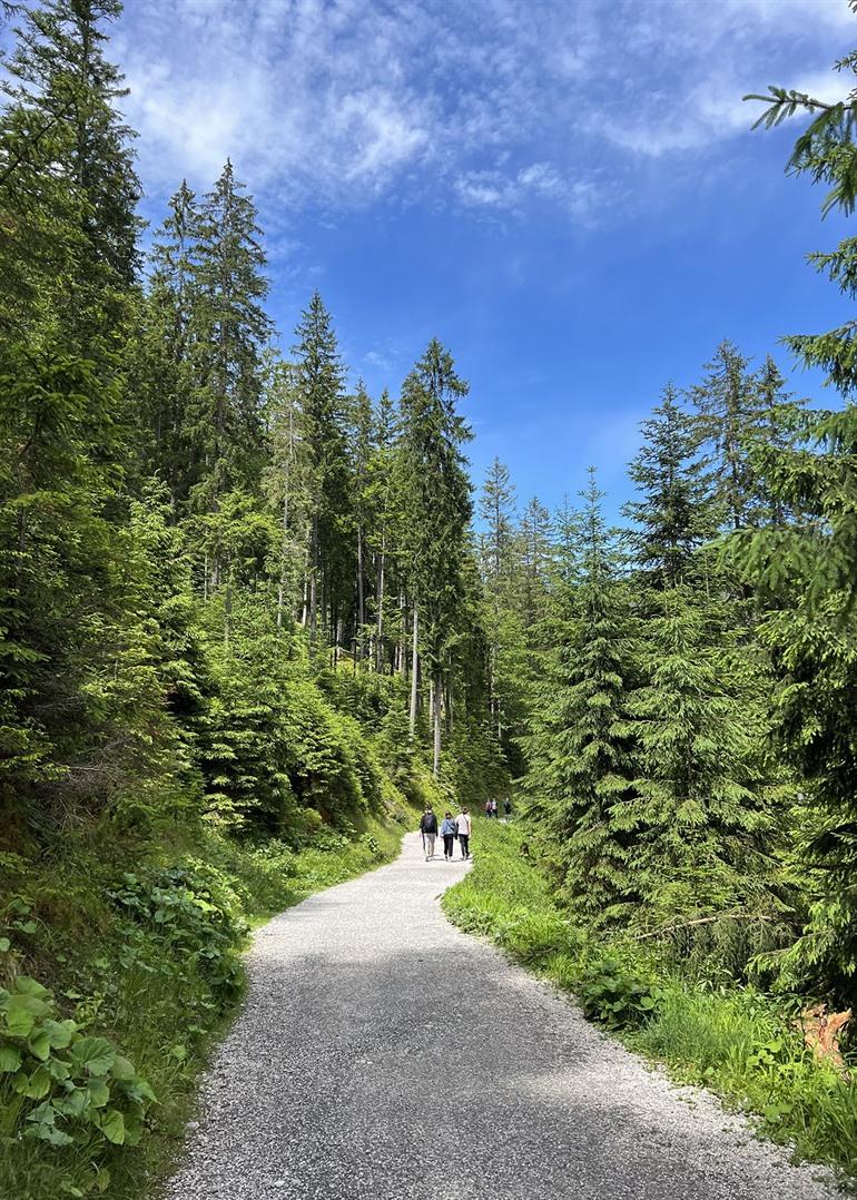 Wandern rund um den Eibsee