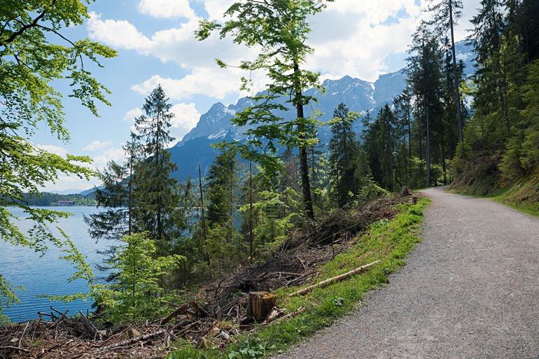 Wandern rund um den Eibsee