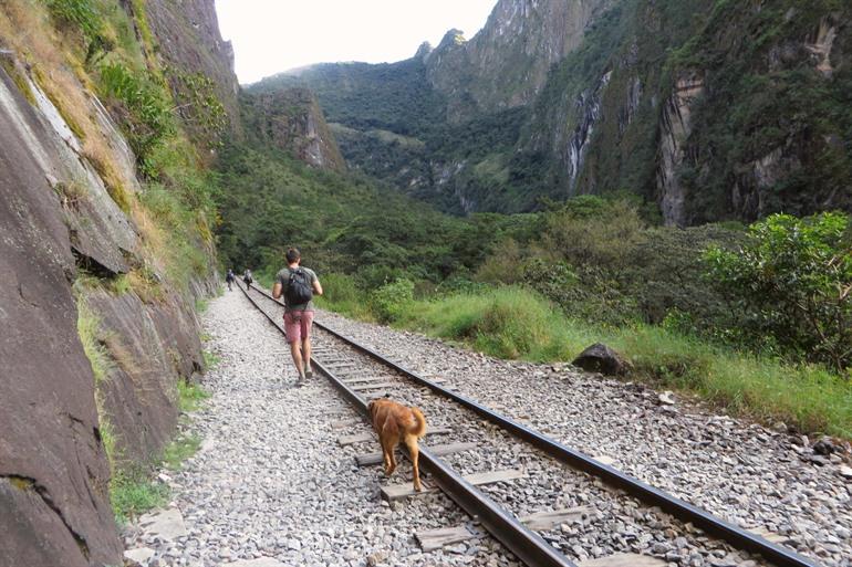 Wandern entlang der Bahnstrecke