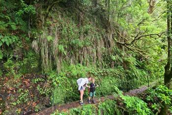 Wanderung Caldeirão Verde PR9