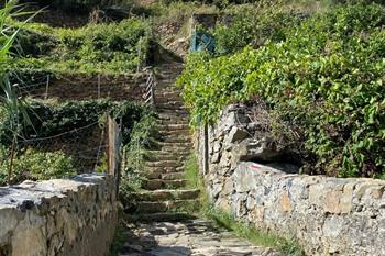 Wanderung durch die Cinque Terre von Riomaggiore nach Manarola Via dell'Amore