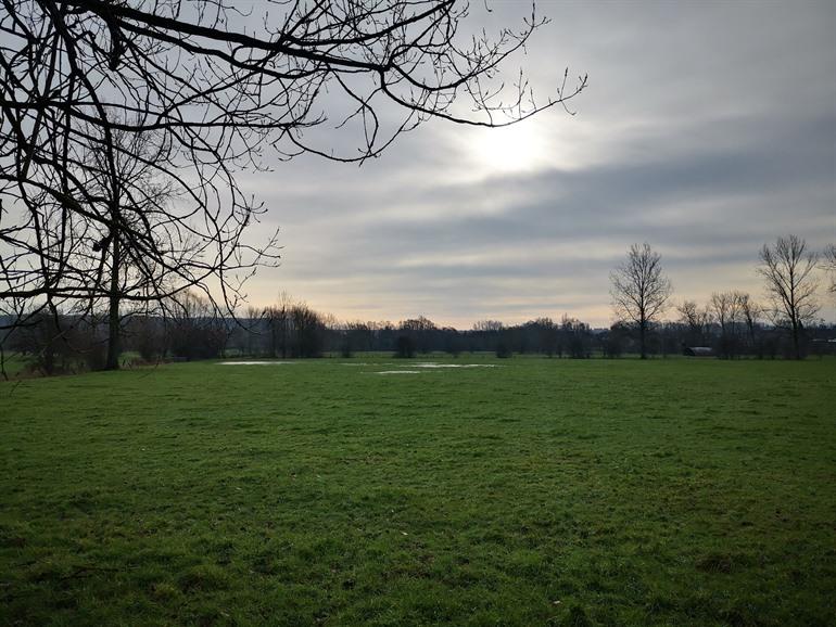 Spaziergang durch De Nuchten