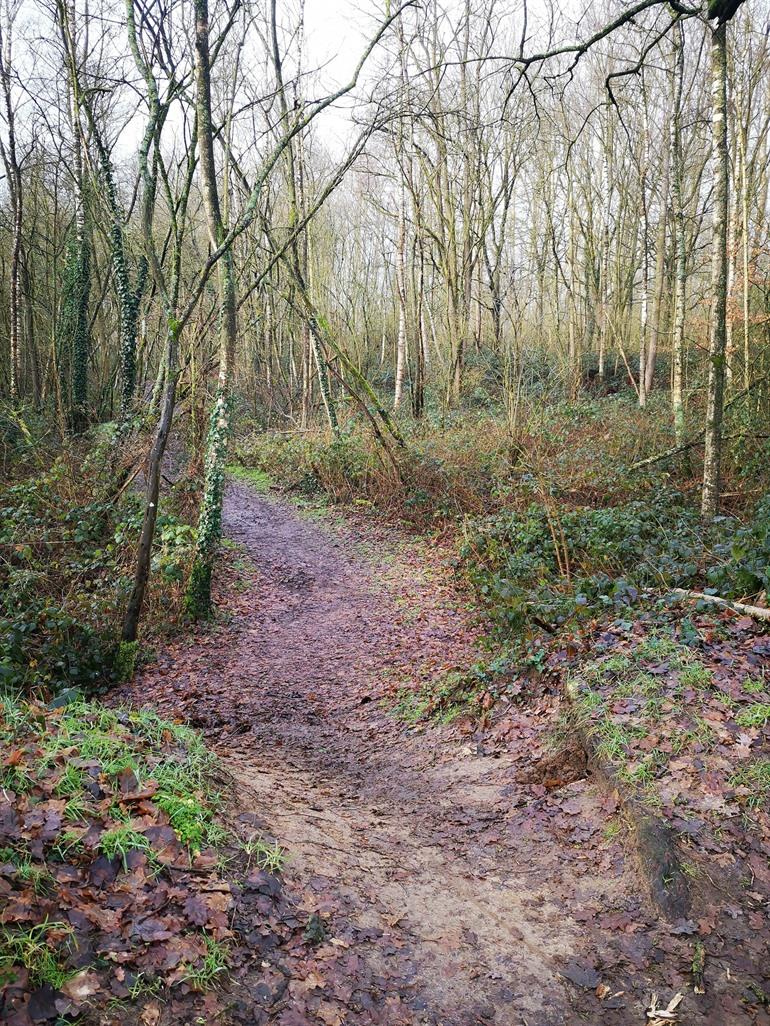 Spaziergang durch De Nuchten