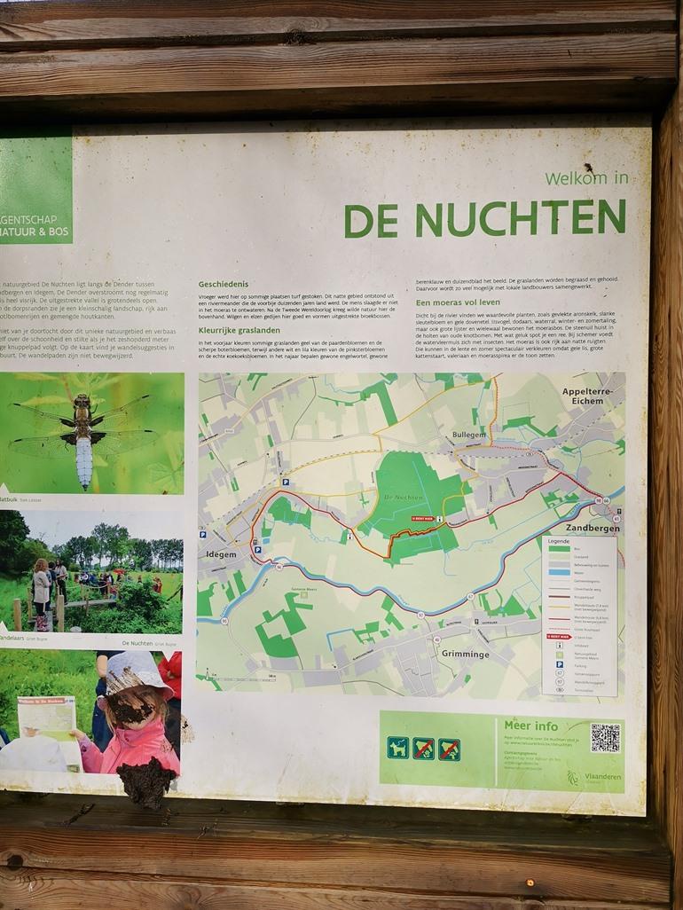 Spaziergang durch De Nuchten