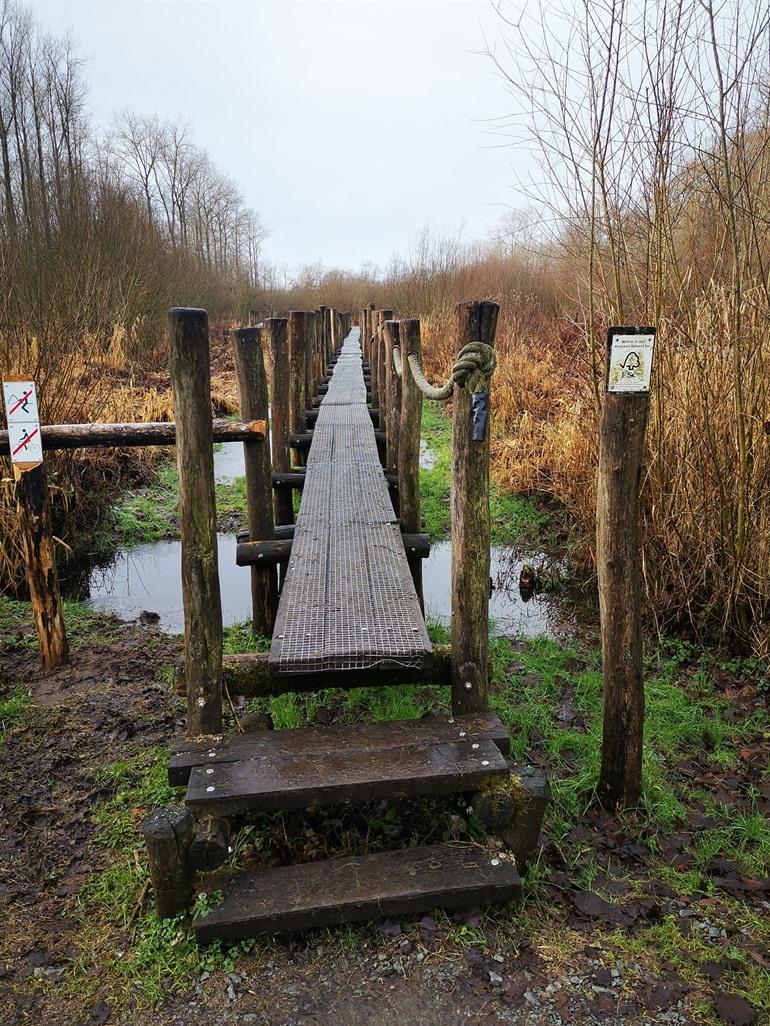 Spaziergang durch De Nuchten
