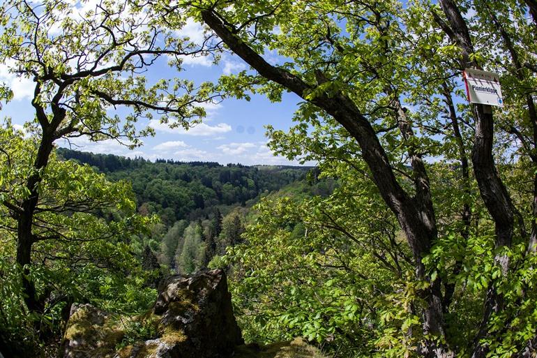 Spaziergang durch das Selketal entlang der Pionierklippe