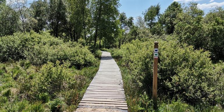 Wanderung in den Hohen Venn