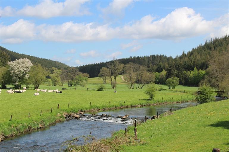 Spaziergang in den Ostkantonen (Bellevaux)