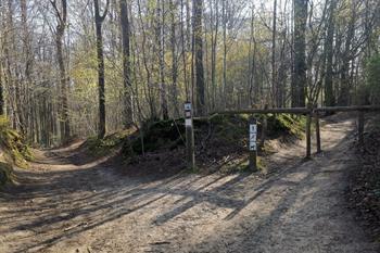 Spaziergang im Brakelbos