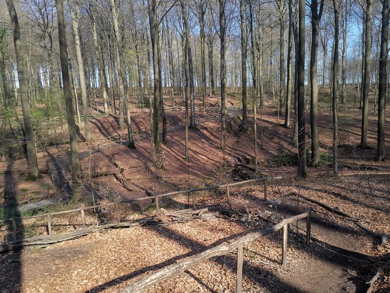 Spaziergang im Brakelbos