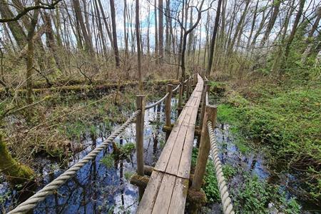 Spaziergang durch das Serskampser Tal entlang der Stegwege