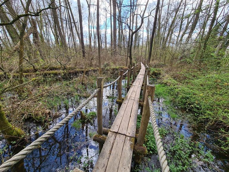 Spaziergang durch das Serskampser Tal entlang der Stegwege