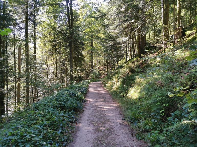 Spaziergang entlang der Allerheiligen-Wasserfälle