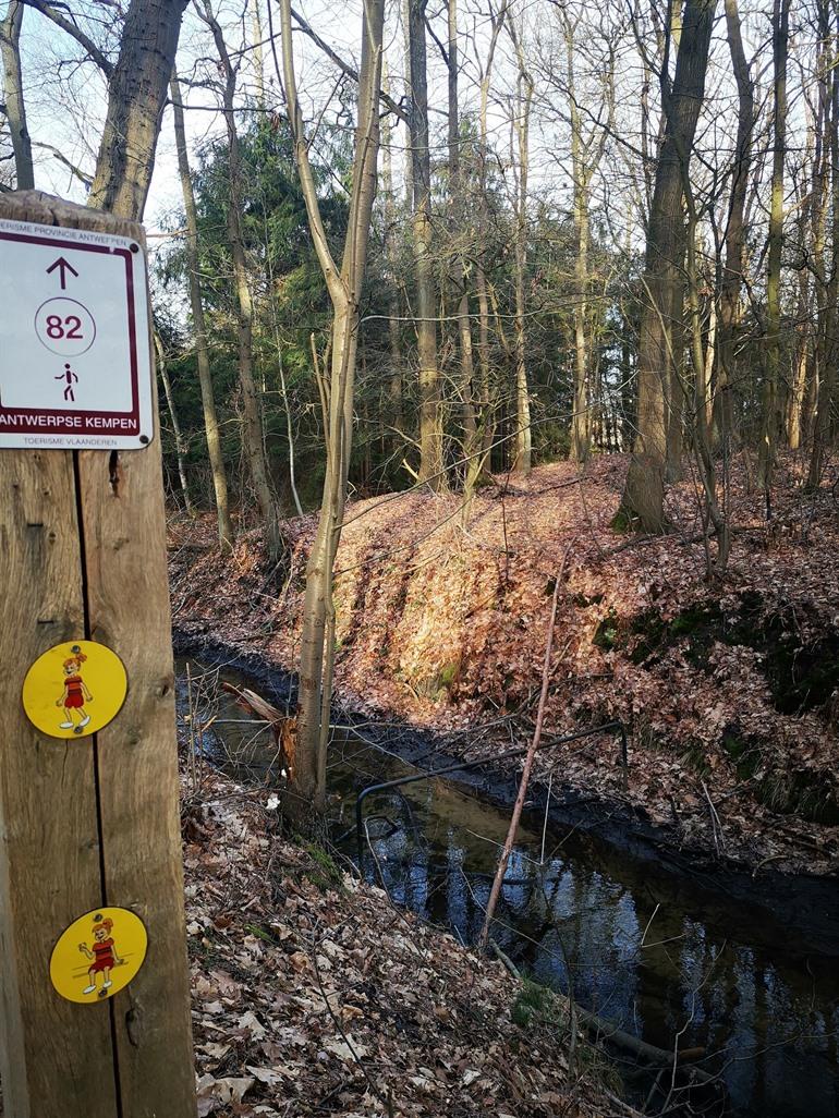 Spaziergang entlang des Pagadderpfads in Dessel