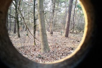 Spaziergang entlang des Pagadderpfads in Dessel