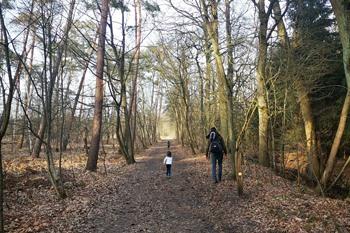 Spaziergang entlang des Pagadderpfads in Dessel