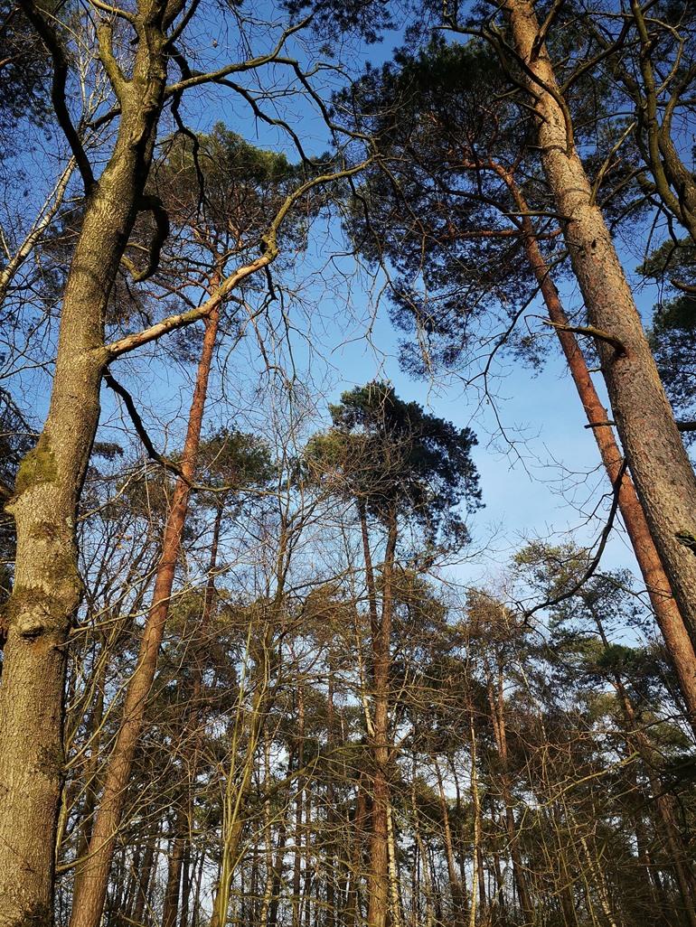 Spaziergang entlang des Pagadderpfads in Dessel