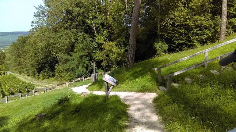 Spaziergang Mont Bernon ab Epernay