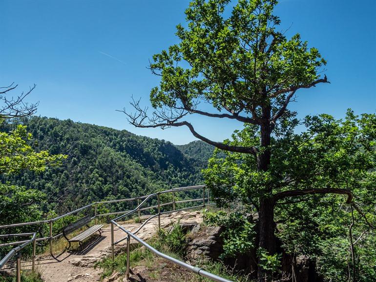 Wanderung zum Hexentanzplatz im Harz