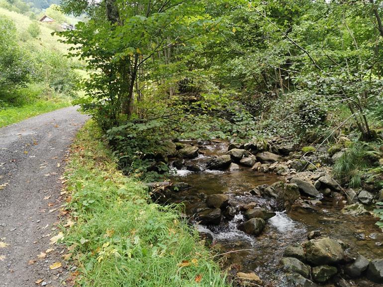 Wanderung zu den Todtnau-Wasserfällen im Schwarzwald