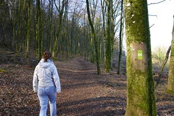 Prënzebierg Spaziergang Das Land der Roten Erde