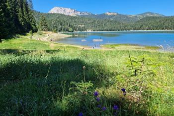 Spaziergang um den Black Lake im Durmitor-Nationalpark