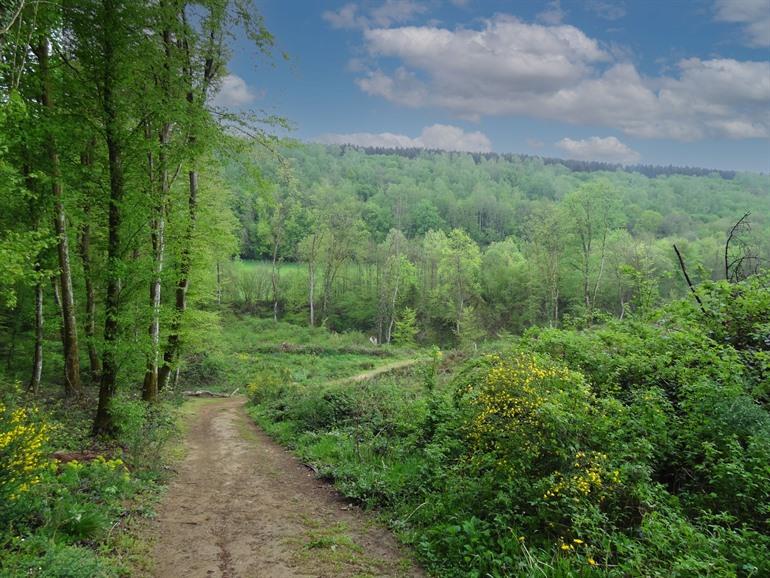 Spaziergang rund um die Abtei Orval